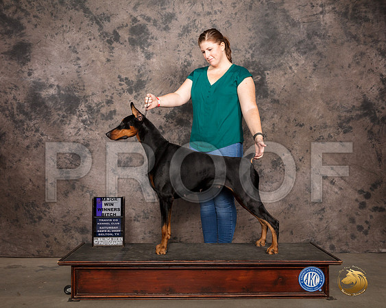 Doberman PInscher #60 Sat WB Judge Darryl Vice_SR_7500_Belton2020_HR3