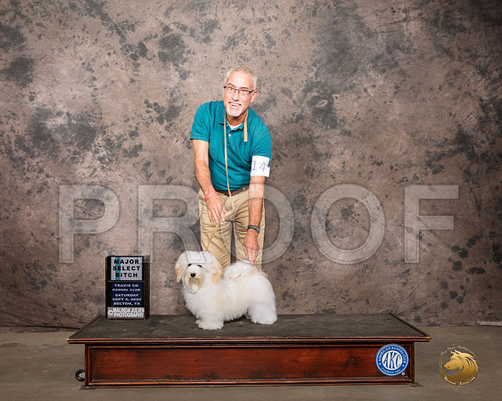 Havanese #18 Sat SB Judge Linda Hurlebaus_SR_7859_Belton2020_HR3