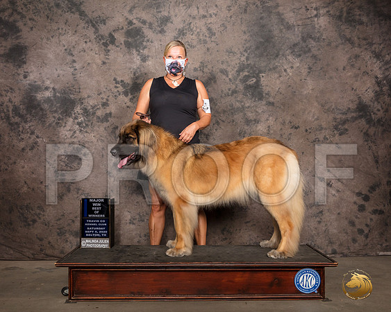 Leonberger #6 Sat BOW Judge Darryl Vice_SR_7580_Belton2020_HR3