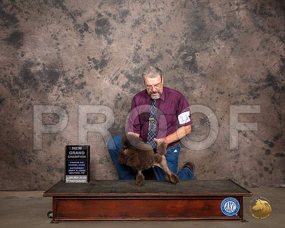 Poodle Toy #11 Sat SD Judge Col Joe Purkhiser_SR_7477_Belton2020_HR3