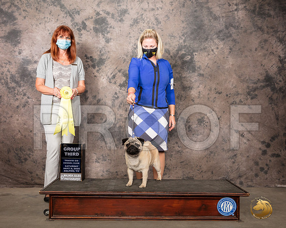 Pug #19 Sat G3 Judge Linda Hurlebaus_SR_8035_Belton2020_HR3