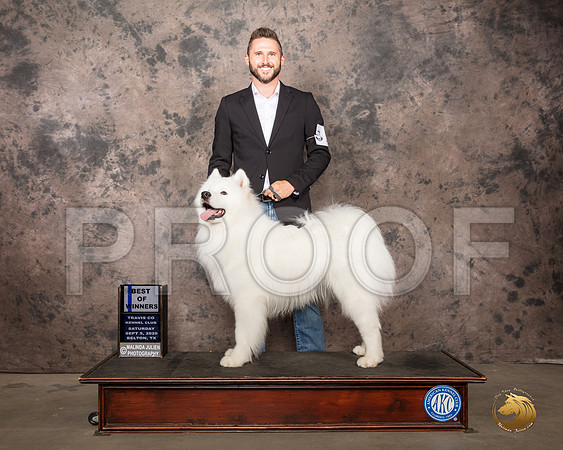 Samoyed #19 Sat BOW Judge Darryl Vice_SR_7652_Belton2020_HR3