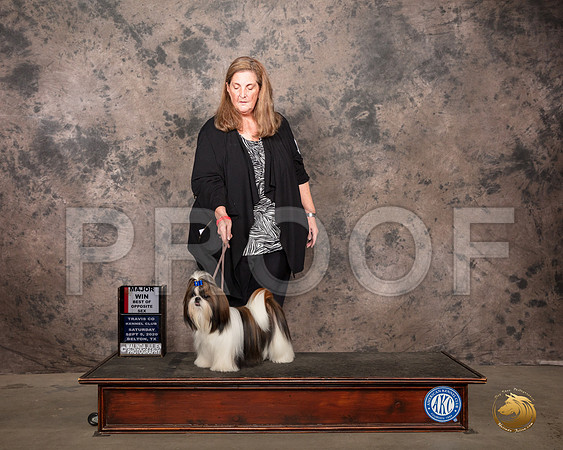 Shih Tzu #16 Sat BOSWB Judge Linda Hurlebaus_SR_7735_Belton2020_HR3