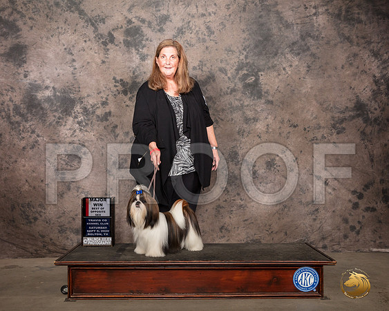Shih Tzu #16 Sat BOSWB Judge Linda Hurlebaus_SR_7737_Belton2020_HR3