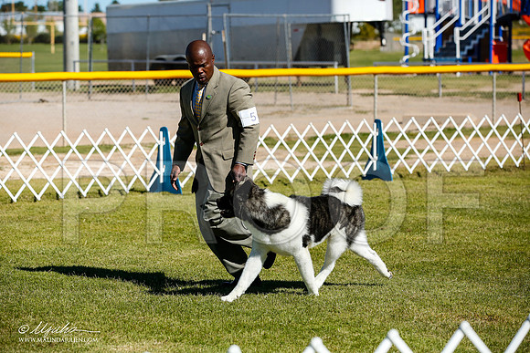 _JJ_9844-AlamogordoOct2014-HR3