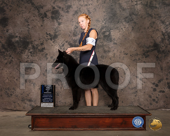 Belgian Sheepdog #7 Mon BOW Judge Linda Hurlebaus-2_SR_9350_Belton2020_HR3