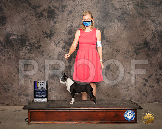 Boston Terrier #14 Mon BOB Judge Darryl Vice_SR_9150_Belton2020_HR3