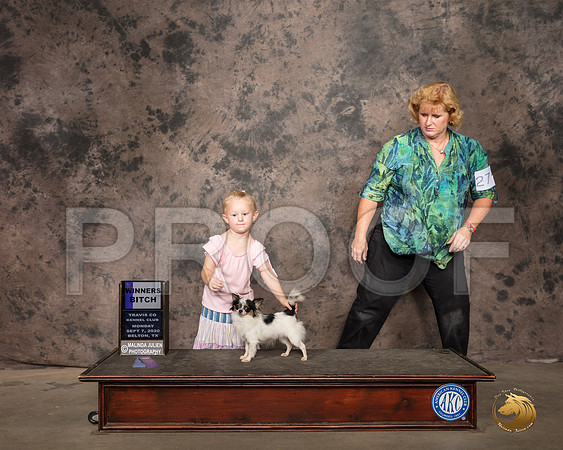 Chihuahua Long Coat #14 Mon Judge Pamela Wilson_SR_9222_Belton2020_HR3