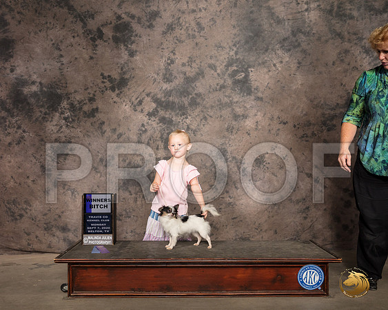 Chihuahua Long Coat #14 Mon Judge Pamela Wilson_SR_9223_Belton2020_HR3