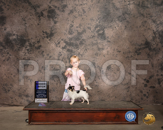 Chihuahua Long Coat #14 Mon Judge Pamela Wilson_SR_9224_Belton2020_HR3