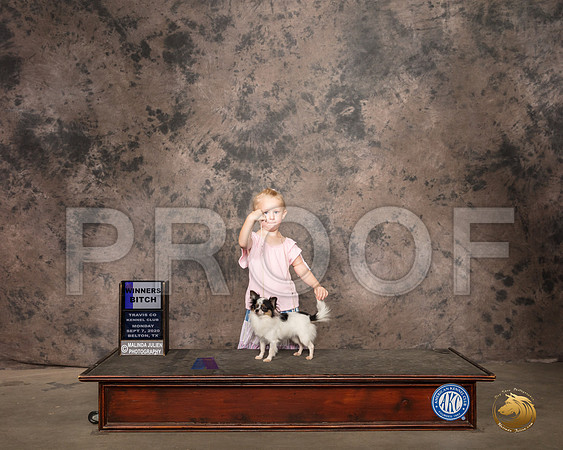 Chihuahua Long Coat #14 Mon Judge Pamela Wilson_SR_9228_Belton2020_HR3