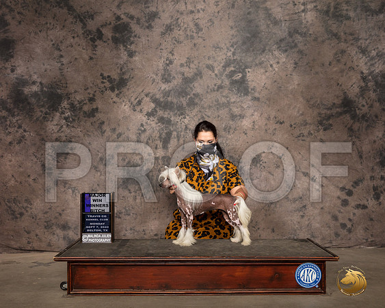 Chinese Crested #6 Mon WB Judge Darryl Vice_SR_9200_Belton2020_HR3