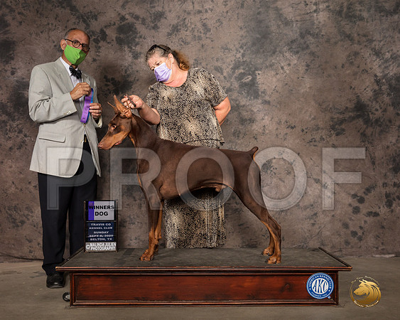 Doberman Pinscher #53 Mon WD Judge Luis Sosa_SR_9242_Belton2020_HR3