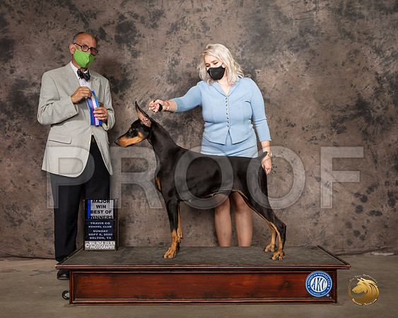 Doberman Pinscher #72 Mon BOW Judge Luis Sosa_SR_9263_Belton2020_HR3