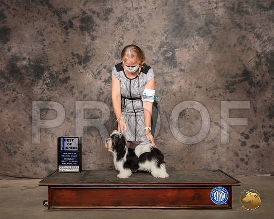 Havanese #12 Mon BOW Judge Lee Whittier_SR_9234_Belton2020_HR3