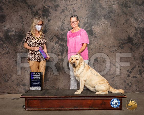 Labrador Retriever #54 Mon WD Judge Helen Dorrence_SR_9124_Belton2020_HR3