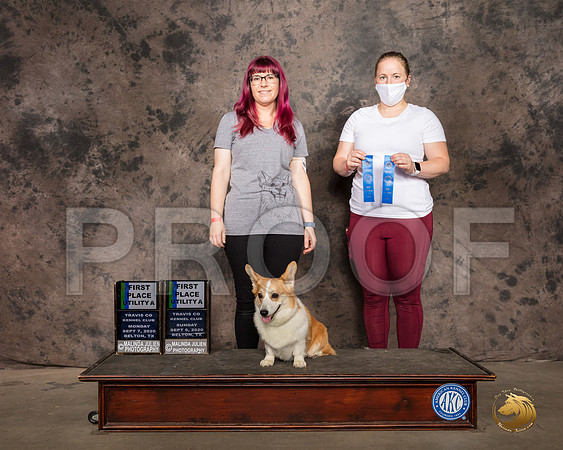 Pembroke Welsh Corgi #63 Mon 1st_SR_9204_Belton2020_HR3