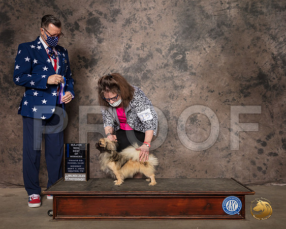 Tibetan Spaniel #15 Mon BOW Judge Darryl Vice_SR_9331_Belton2020_HR3