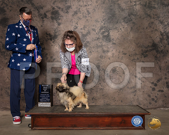 Tibetan Spaniel #15 Mon BOW Judge Darryl Vice_SR_9338_Belton2020_HR3