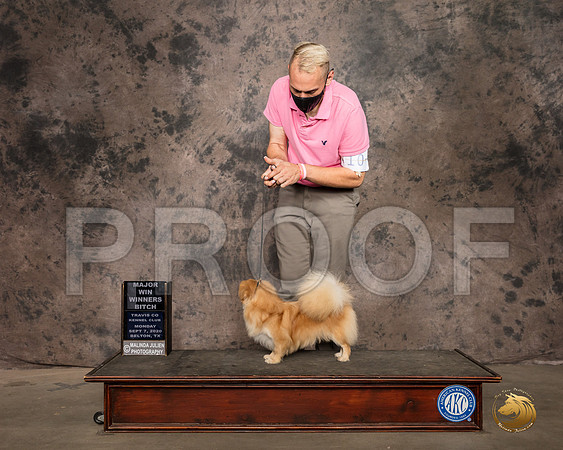 Tibetan Spaniel #18 Mon WB Judge Darryl Vice_SR_9342_Belton2020_HR3