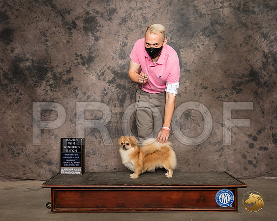 Tibetan Spaniel #18 Mon WB Judge Darryl Vice_SR_9345_Belton2020_HR3