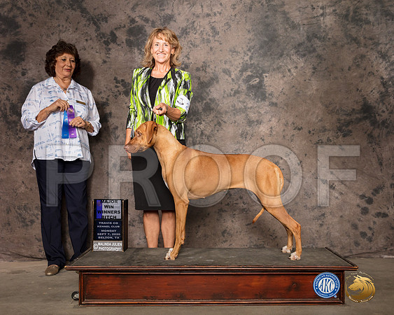 Rhodesian Ridgeback #24 WB Judge Nancy Leising_SR_9417_Belton2020_HR3