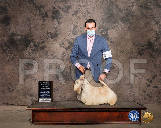 Scottish Terrier #5 Mon BOS Judge Lee Whittier_SR_9454_Belton2020_HR3