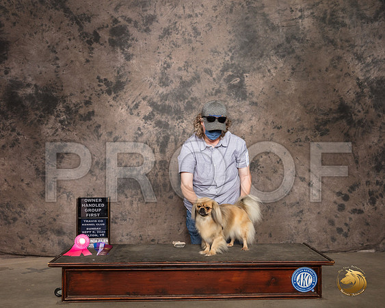 Tibetan Spaniel #24 Sun Judge OHG1 Judge Linda Hurlebaus_SR_9381_Belton2020_HR3