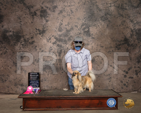 Tibetan Spaniel #24 Sun Judge OHG1 Judge Linda Hurlebaus_SR_9383_Belton2020_HR3