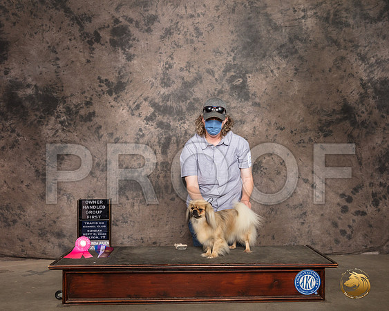 Tibetan Spaniel #24 Sun Judge OHG1 Judge Linda Hurlebaus_SR_9385_Belton2020_HR3