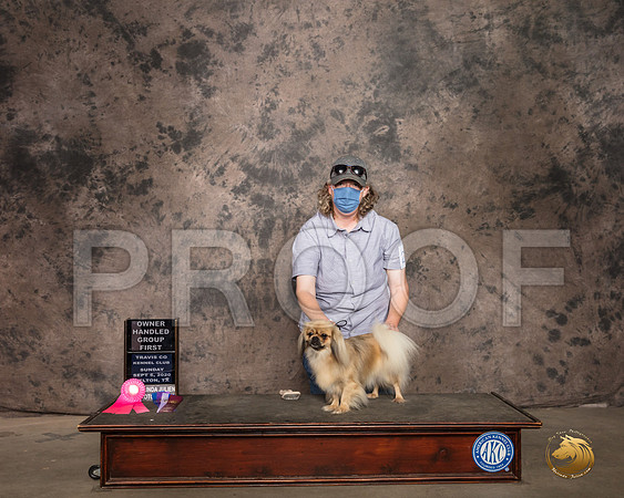 Tibetan Spaniel #24 Sun Judge OHG1 Judge Linda Hurlebaus_SR_9386_Belton2020_HR3
