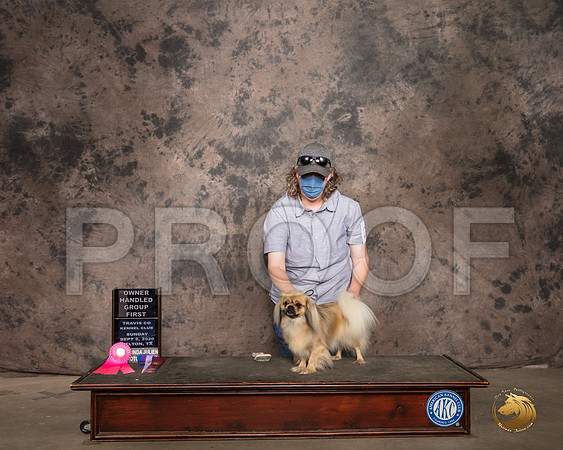 Tibetan Spaniel #24 Sun Judge OHG1 Judge Linda Hurlebaus_SR_9387_Belton2020_HR3