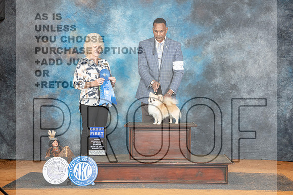 Chihuahua Smooth #25 Sun G1 Jduge Lisa Graser__JP_8721_MARSHALL_2024_HR3