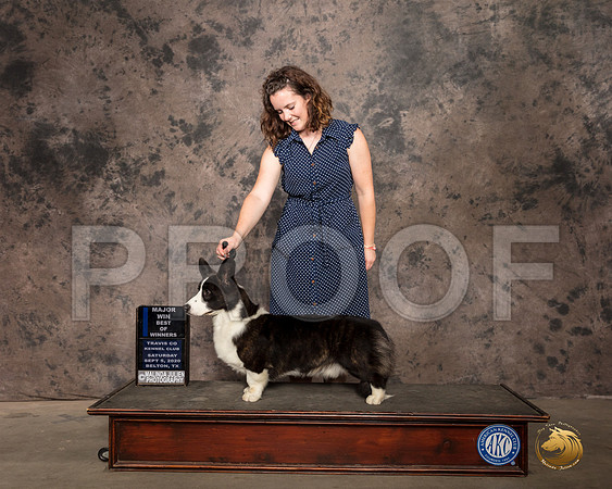 Cardigan Welsh Corgi #11 BOW Sat Marilyn Van Vleit_SR_9622_Belton2020_HR3