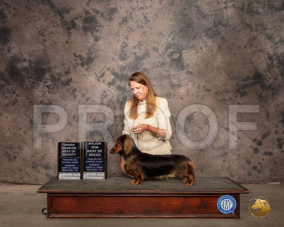 Dachshunds Long #8 Mon BOB Judge Lee Whittier_SR_9505_Belton2020_HR3