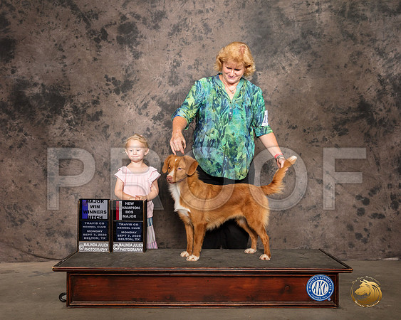 Nova Scotia Duck Tolling Retriever #16 Mon WB Judge Helen Dorrance_SR_9516_Belton2020_HR3