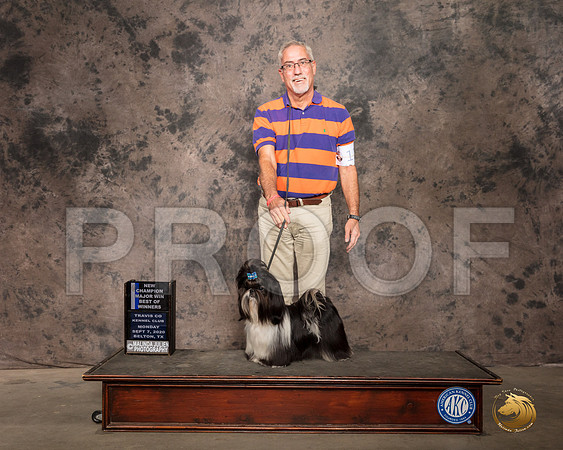Shih Tzu #11 Mon BOW_SR_9650_Belton2020_HR3