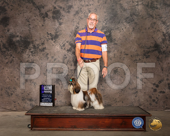 Shih Tzu #18 Mon WB Maj_SR_9654_Belton2020_HR3