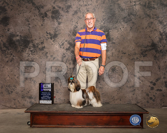 Shih Tzu #18 Mon WB Maj_SR_9657_Belton2020_HR3