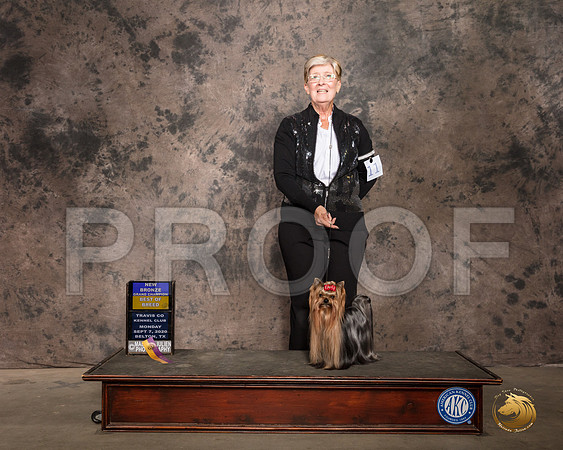 Yorkshire Terrier #11 Mon BOB Judge Lee Whittier_SR_9631_Belton2020_HR3