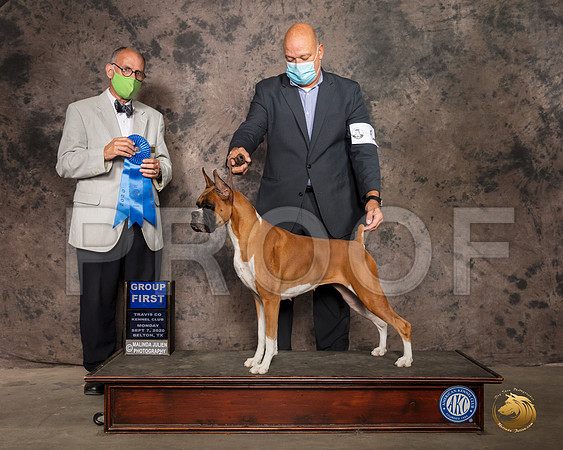Boxer #6 Mon G1 Judge Luis Sosa_SR_9767_Belton2020_HR3