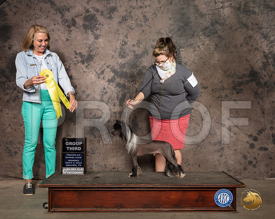 Chinese Crested #11 Mon G3 Judge Lee Whittier_SR_9844_Belton2020_HR3