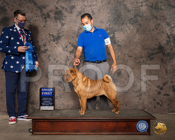 Chinese Shar Pei #6 Mon G1 Judge Darryl Vice_SR_9673_Belton2020_HR3