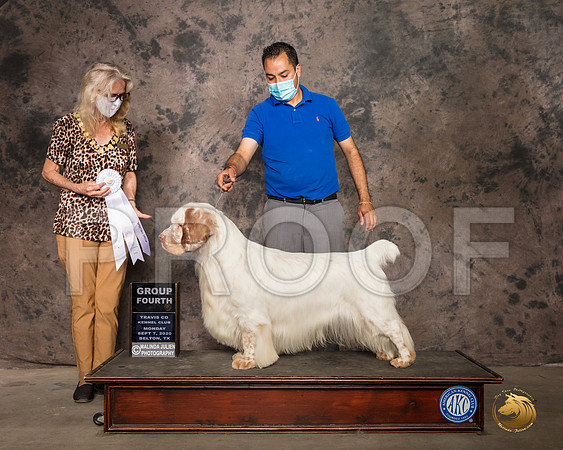Clumber Spaniel #5 Mon G4 Judge Helen Dorrance_SR_9749_Belton2020_HR3