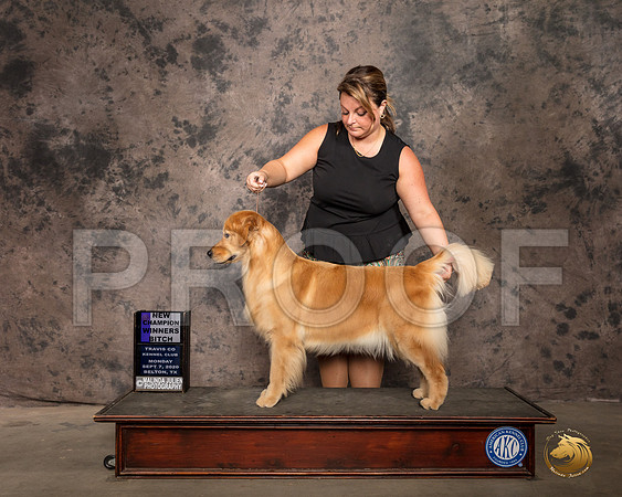 Golden Retriever #28 Mon WB Judge Helen Dorrance_SR_9702_Belton2020_HR3