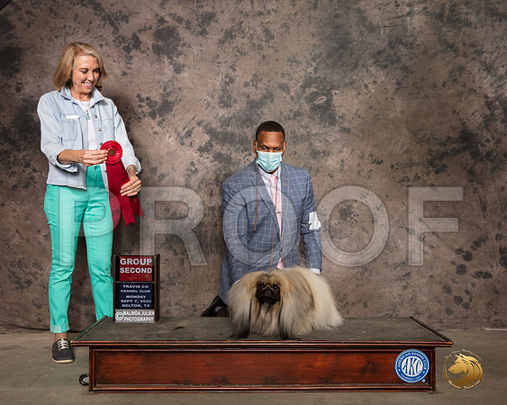 Pekingese #7 Mon G2 Judge Lee Whittier_SR_9850_Belton2020_HR3
