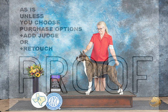 Boxer #8 Sat BOBOHBOB Judge Sharol Candace Way__JP_9937_Abilene_2024_HR3