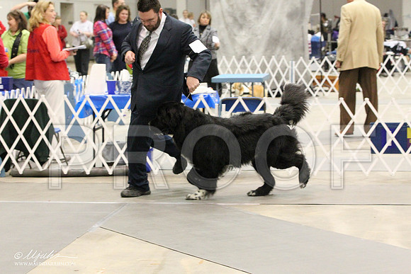 IMG_8735-Abilene2011-HR3