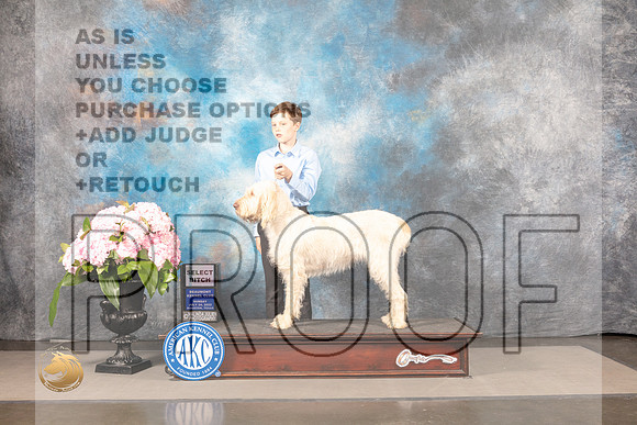 Spinone #6 SUN SB *NO JUDGE*_MJ_8122_Houston_2022_HR3