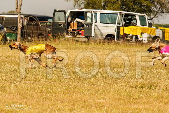 _MJ_4663-AfgBeltonOct2014-HR3